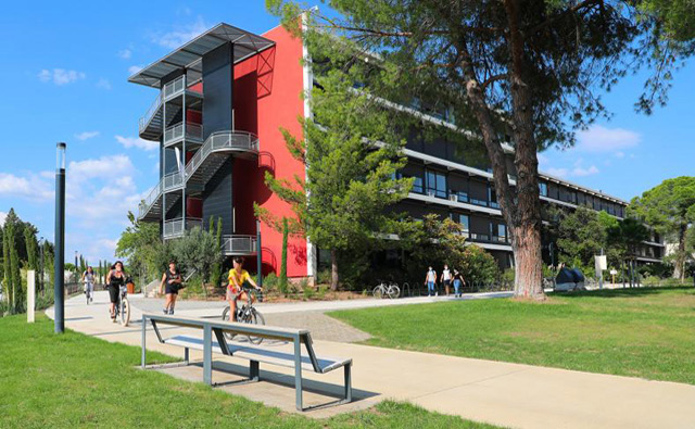 蒙彼利埃第三大学