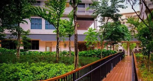 南洋理工大学高级公共管理硕士（EMPA ）招生简章