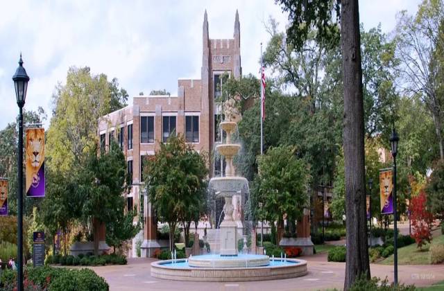你们知道美国北阿拉巴马大学怎么样？