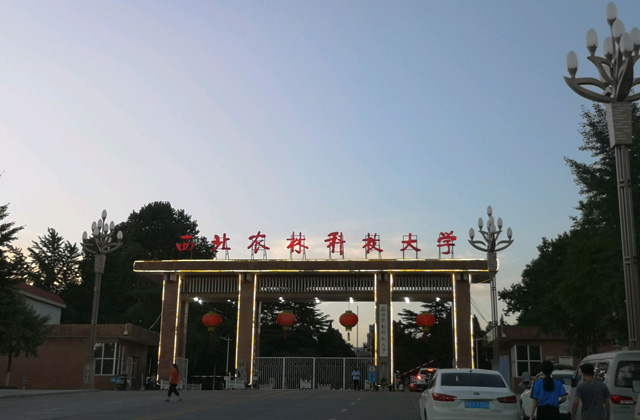 2017-2022年西北农林科技大学历年MBA分数线汇总