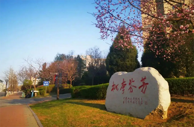 2017-2022年辽宁科技大学历年MBA分数线汇总
