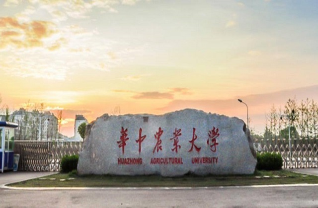 华中农业大学MBA报考条件及费用
