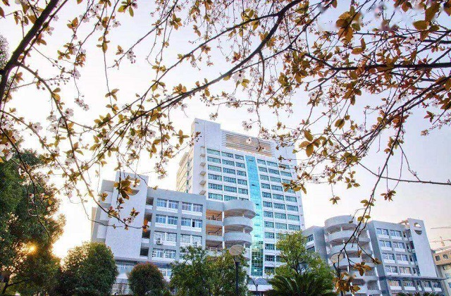 南华大学MBA报考条件及费用