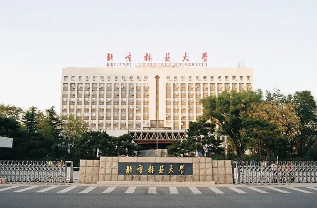北京林业大学MBA报考条件及费用