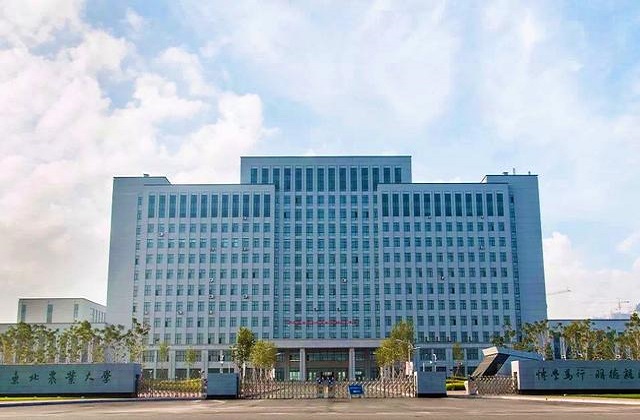 东北农业大学MBA报考条件及费用