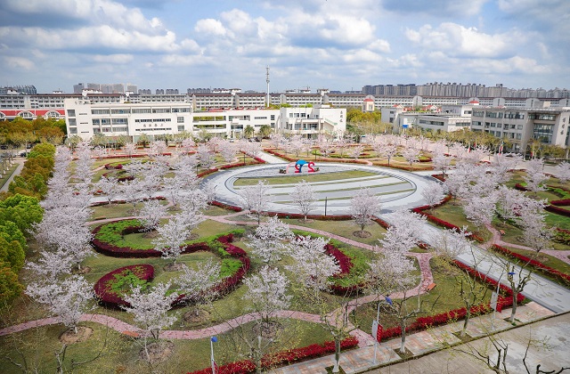 上海对外经贸大学MBA项目怎么样？