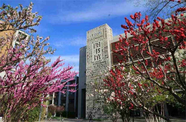 北京外国语大学MBA项目怎么样？