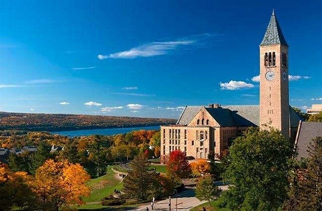 美国康奈尔大学怎么样？