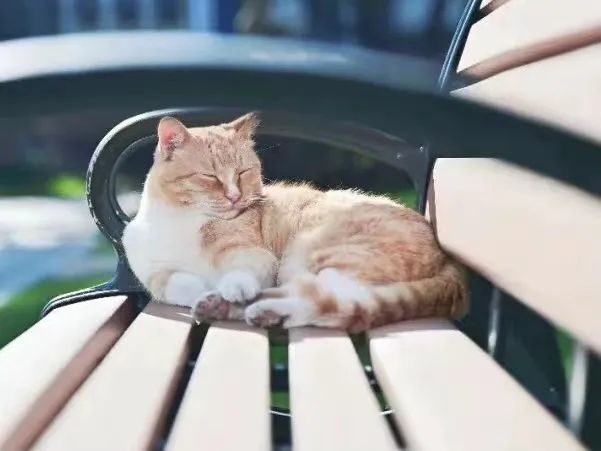 选择复旦大学MBA的10个理由