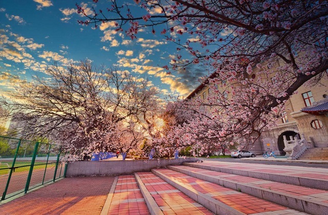 哈尔滨工程大学MBA报考条件及费用