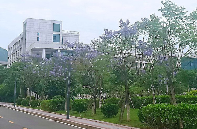 华侨大学2022年MBA复试分数线