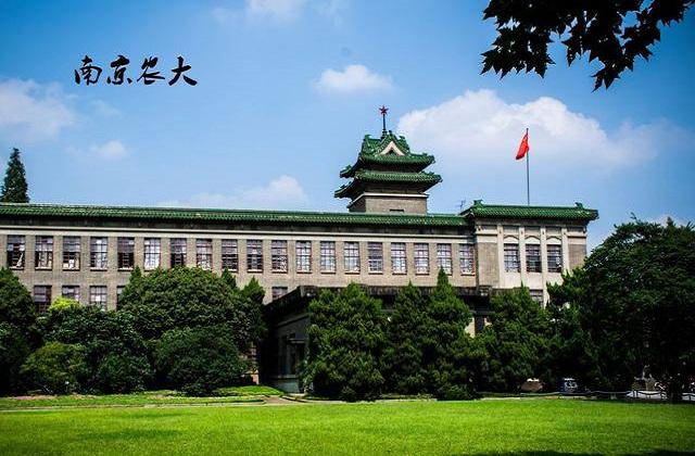 南京农业大学2022年MBA调剂工作通知！