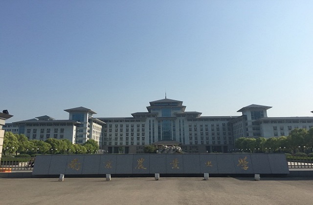 南京农业大学2022年MBA复试分数线