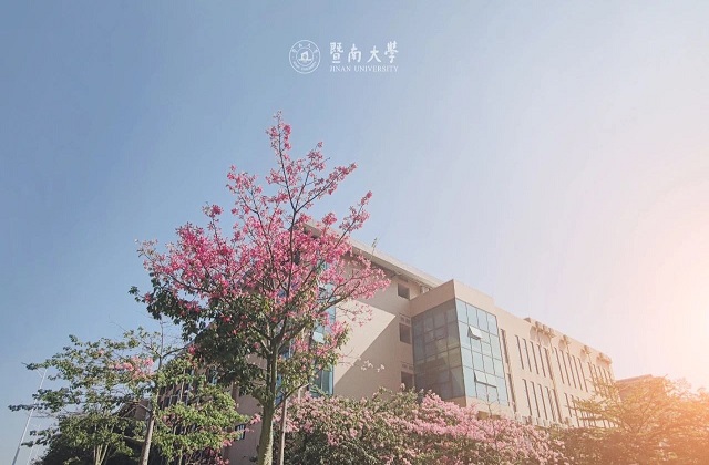 广东MBA院校有哪些？广东MBA院校排名！