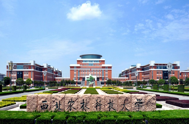 西北农林科技大学2022年非全日制MBA调剂通知