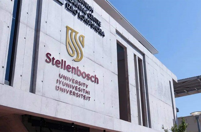 2017-2022年南非斯泰伦博斯大学QS世界排名