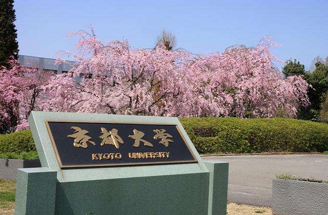 2017-2022年京都大学QS世界排名