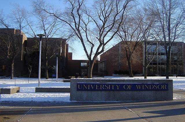 2017-2022年加拿大温莎大学QS世界排名