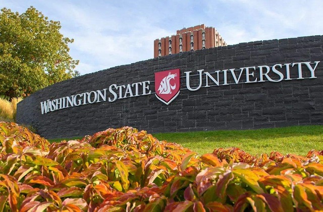 2017-2023年美国华盛顿州立大学QS世界排名