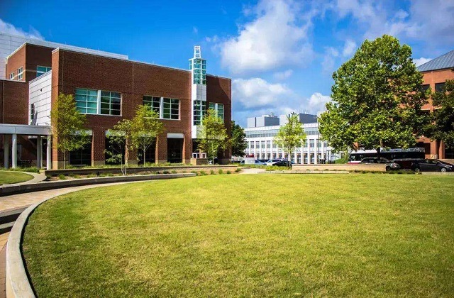 2017-2022年美国加利福尼亚大学圣克鲁兹分校QS世界排名