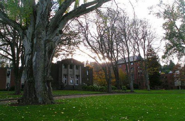 2017-2023年美国太平洋大学QS世界排名