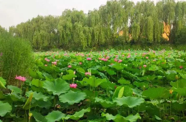 河北经贸大学2023年工商管理硕士（MBA）招生简章