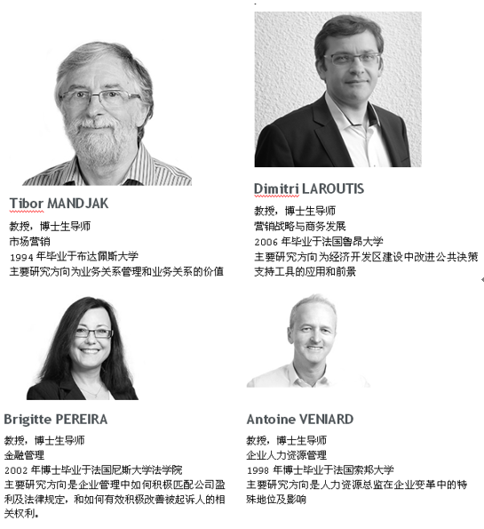 法国诺曼底管理学院工商管理博士（DBA）招生简章 