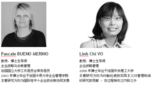 法国诺曼底管理学院工商管理博士（DBA）招生简章 